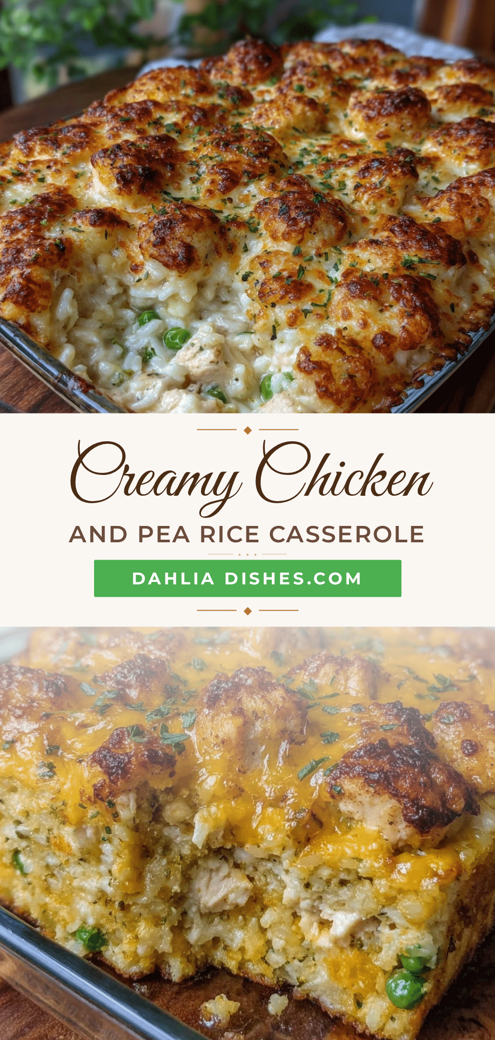 cozy chicken and rice casserole recipe