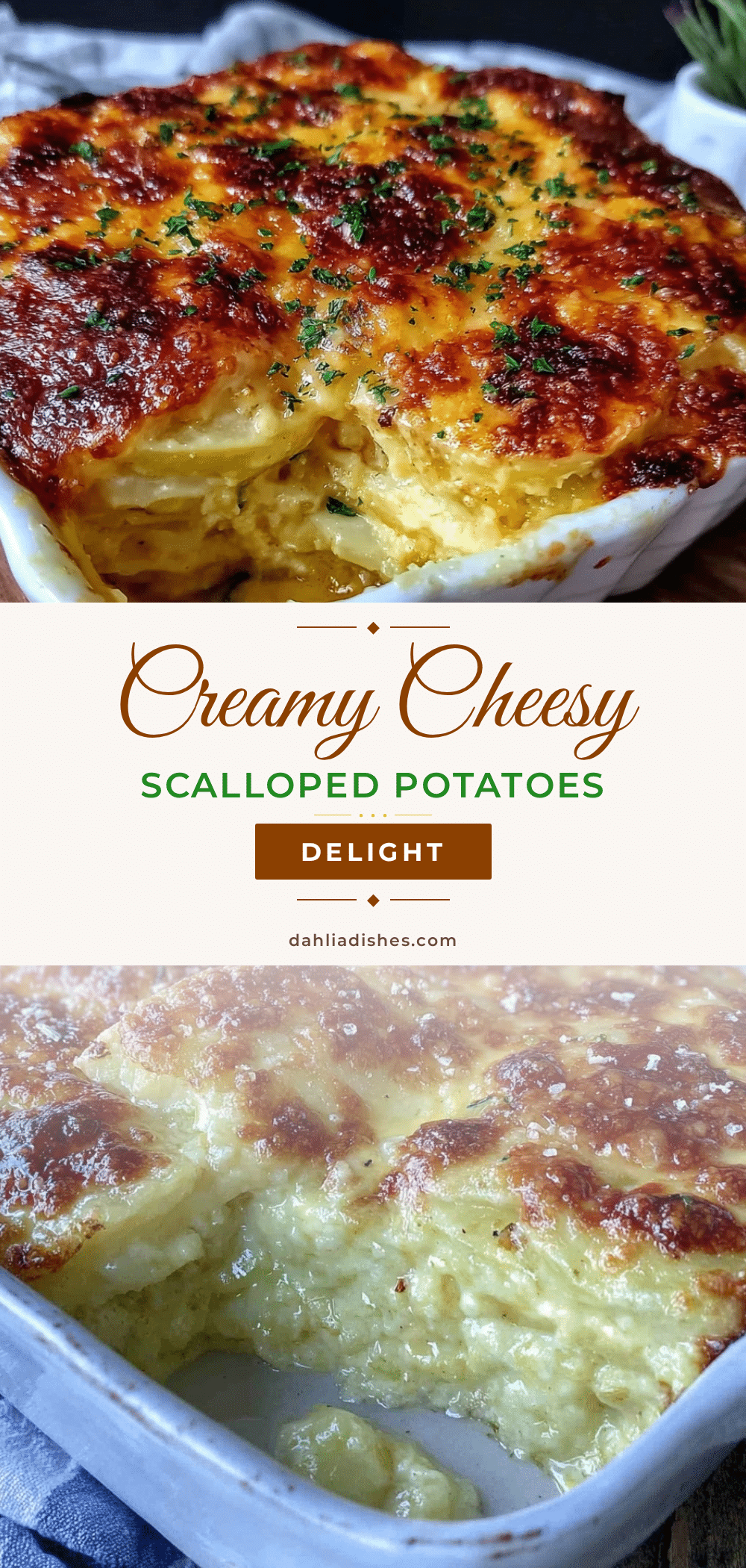 creamy cheesy scalloped potatoes recipe