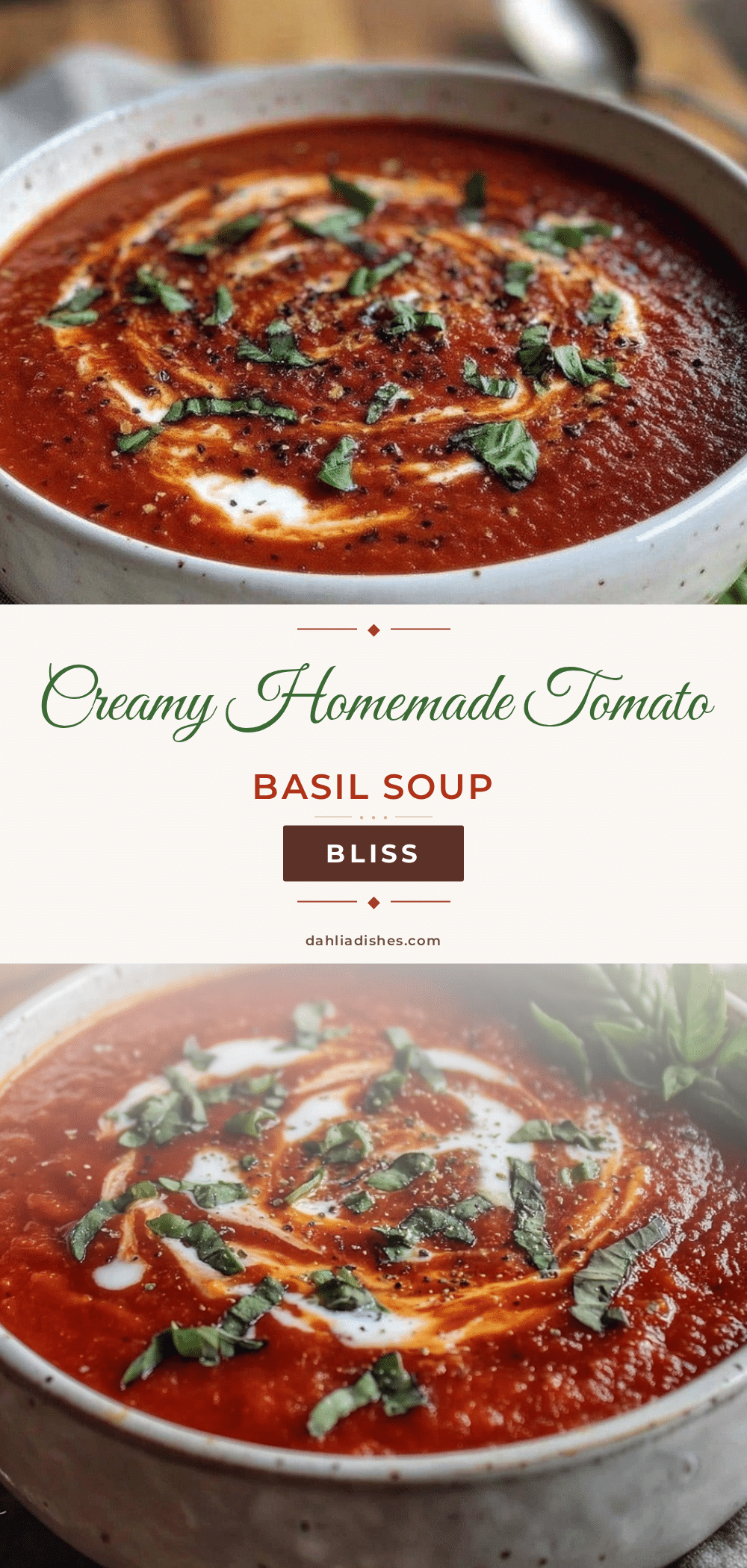 creamy homemade tomato basil soup recipe