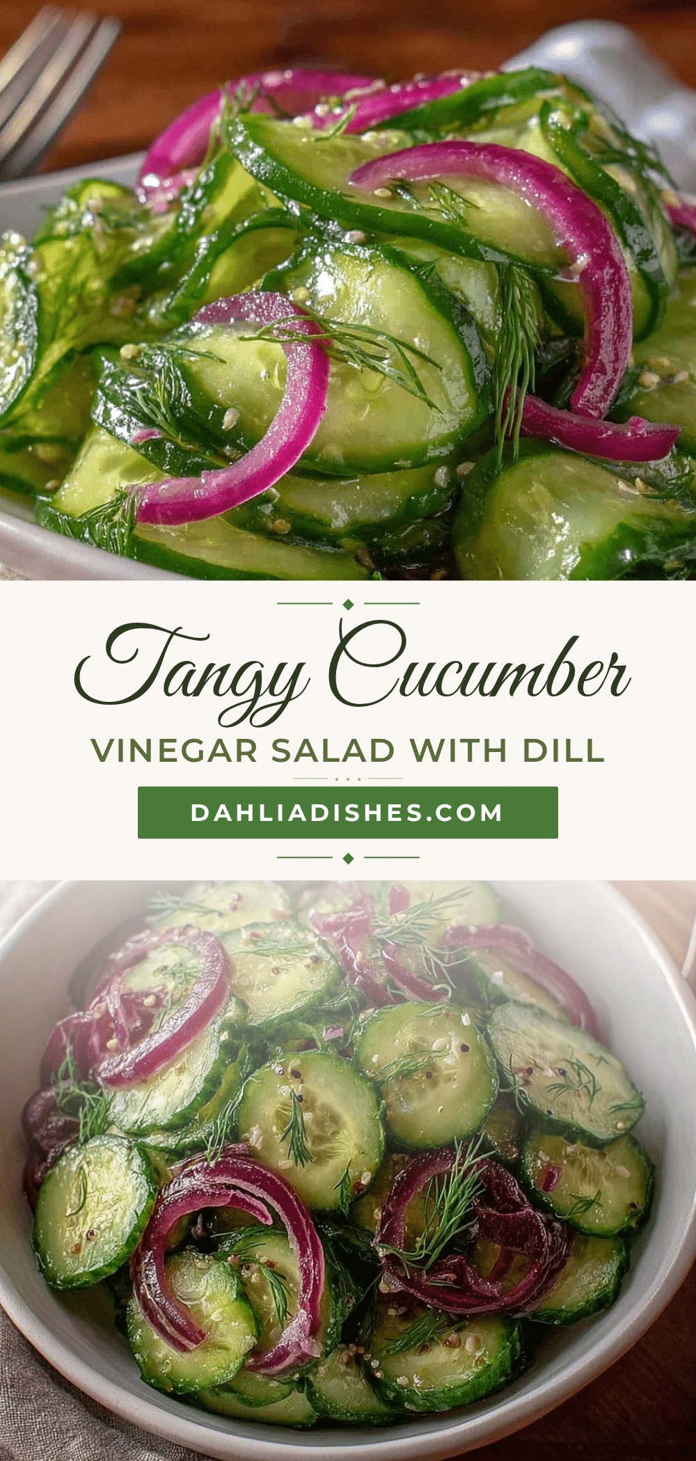 fresh cucumber vinegar salad recipe