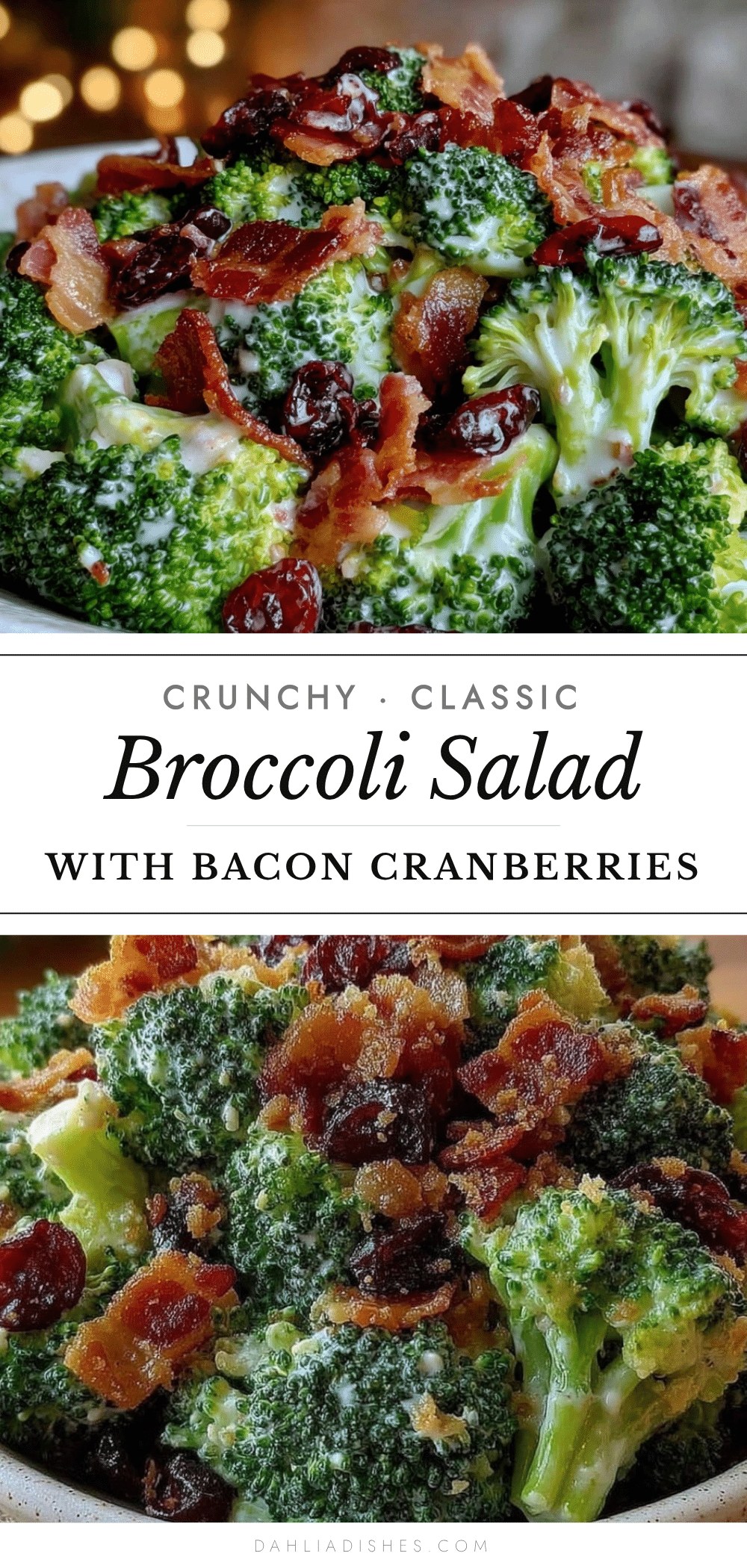 broccoli salad with bacon and cranberries recipe