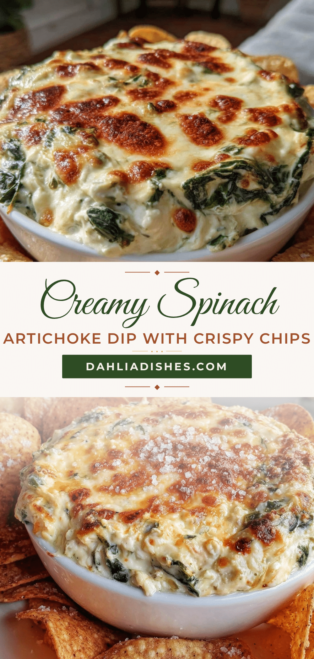 creamy spinach artichoke dip recipe