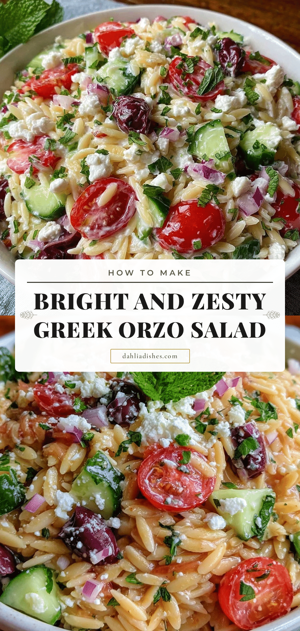 Fresh Greek Orzo Pasta Salad recipe