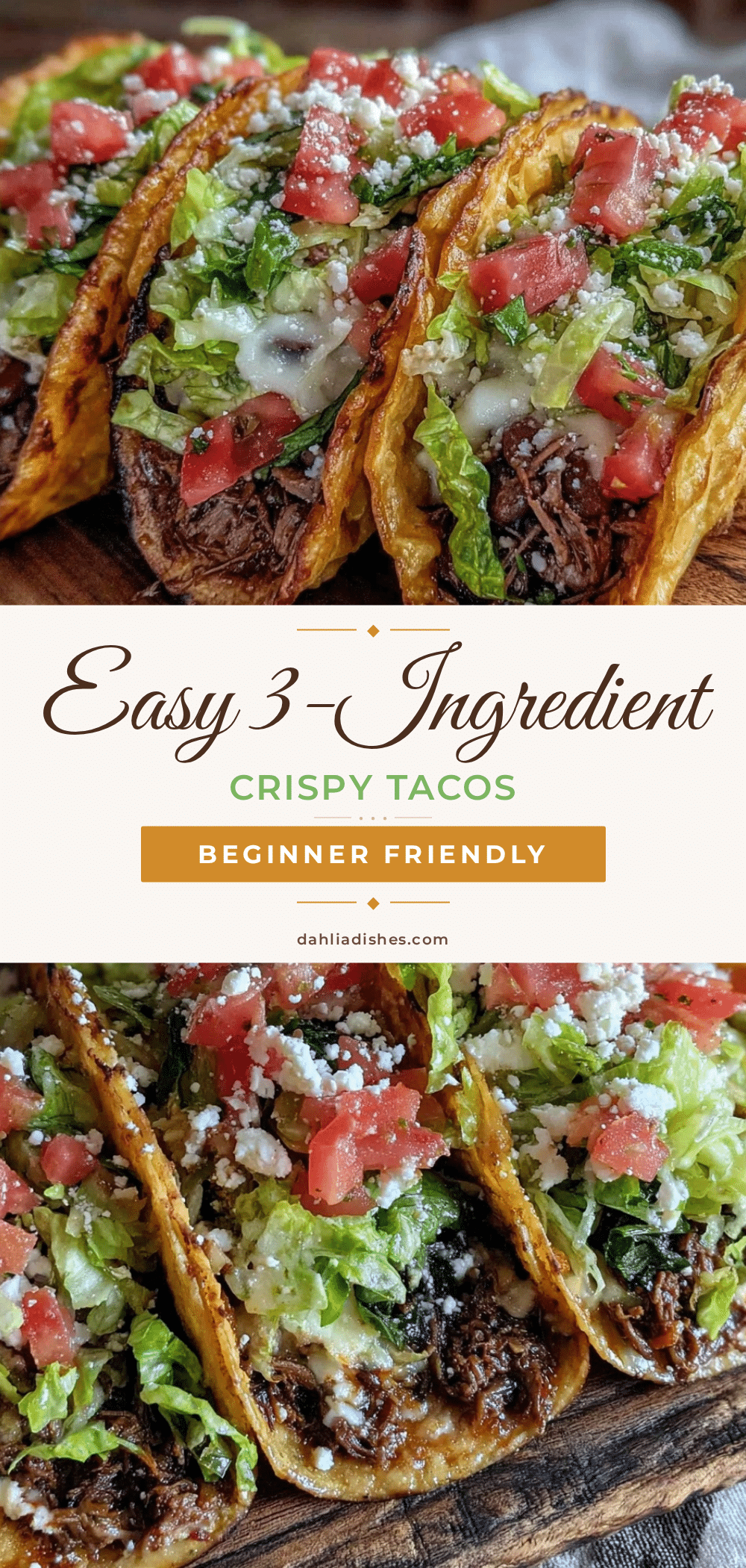 easy basic tacos recipe