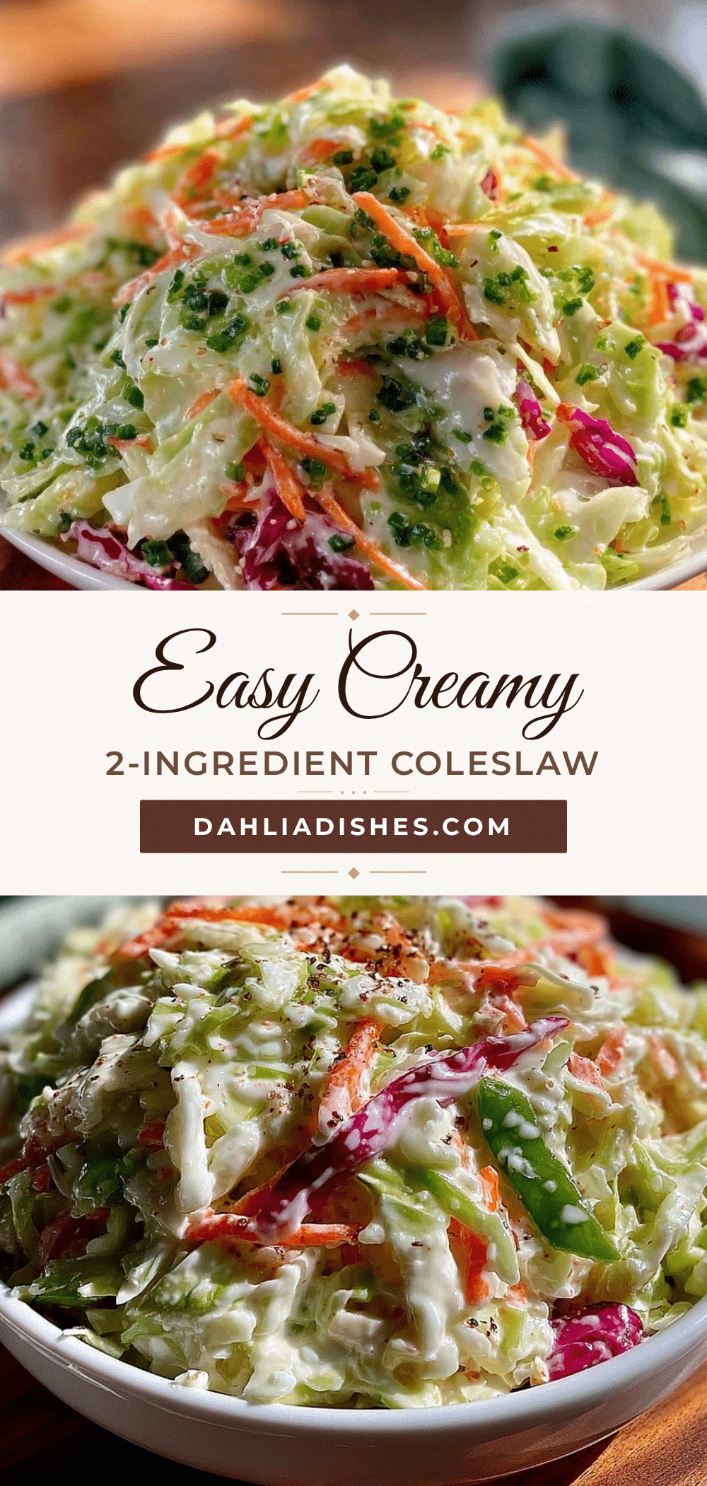 easy simple coleslaw recipe recipe