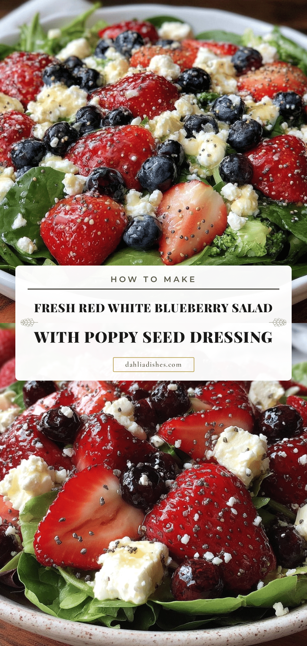 fresh red white blueberry salad recipe