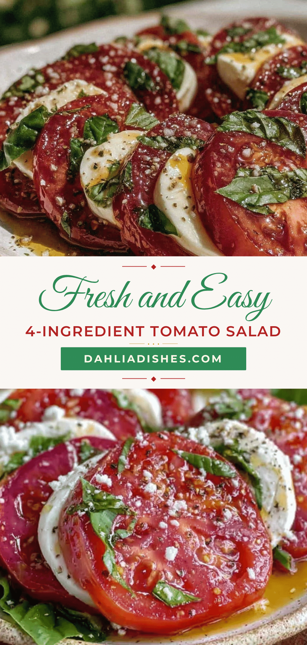 fresh simple tomato salad recipe