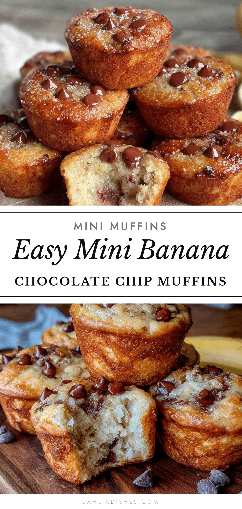 mini banana chocolate chip muffins recipe
