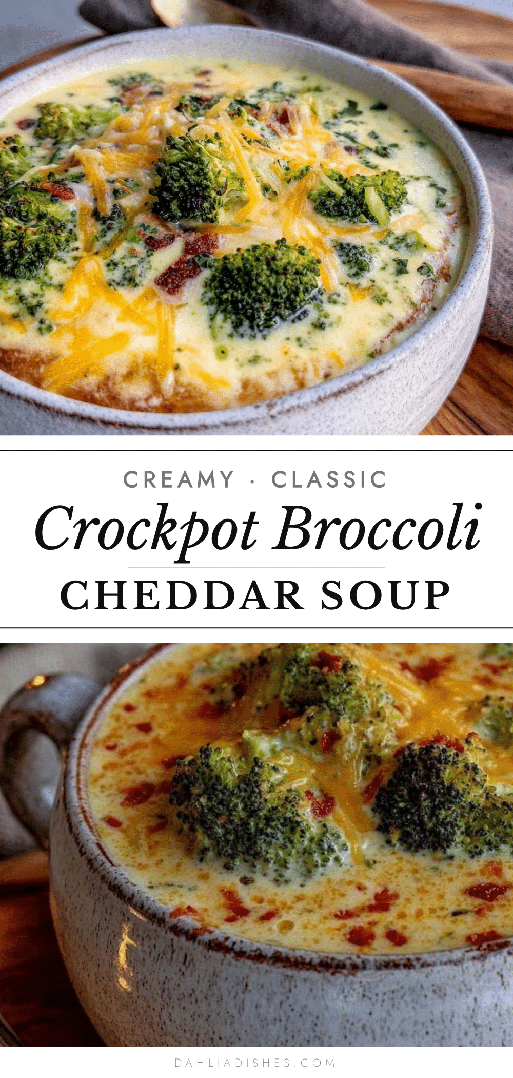 crockpot broccoli cheddar soup recipe