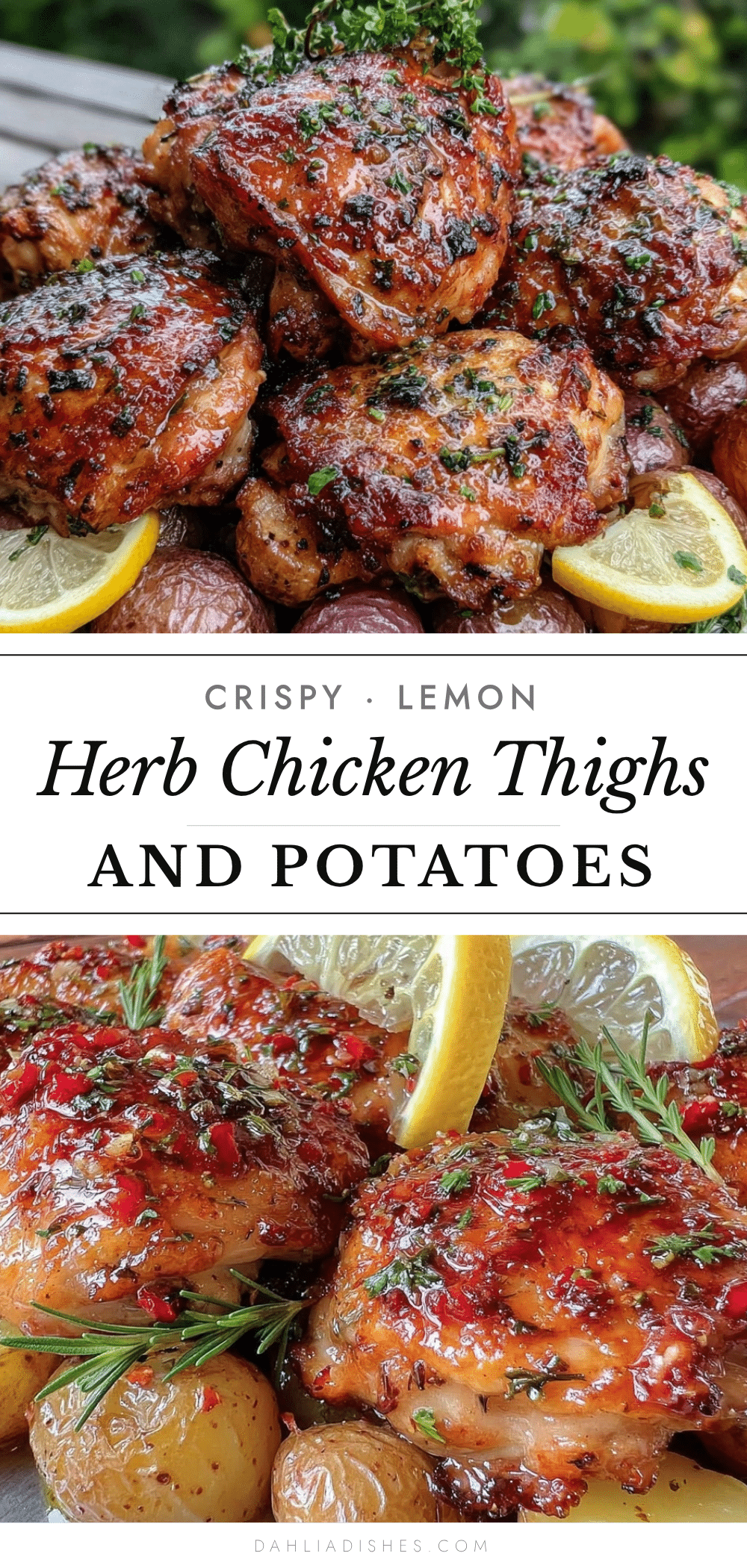 lemon herb chicken thighs sheet pan dinner recipe