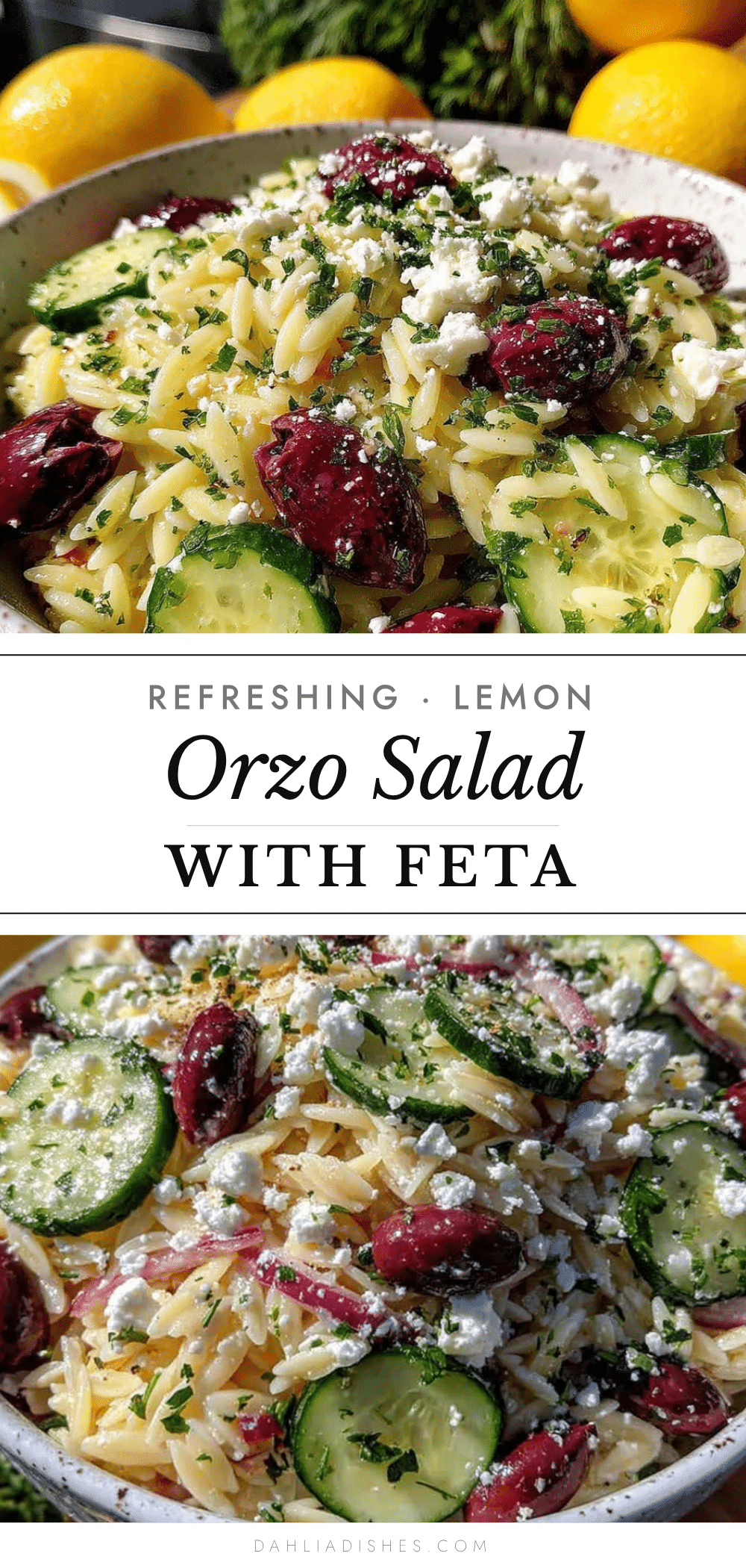 lemon orzo salad recipe
