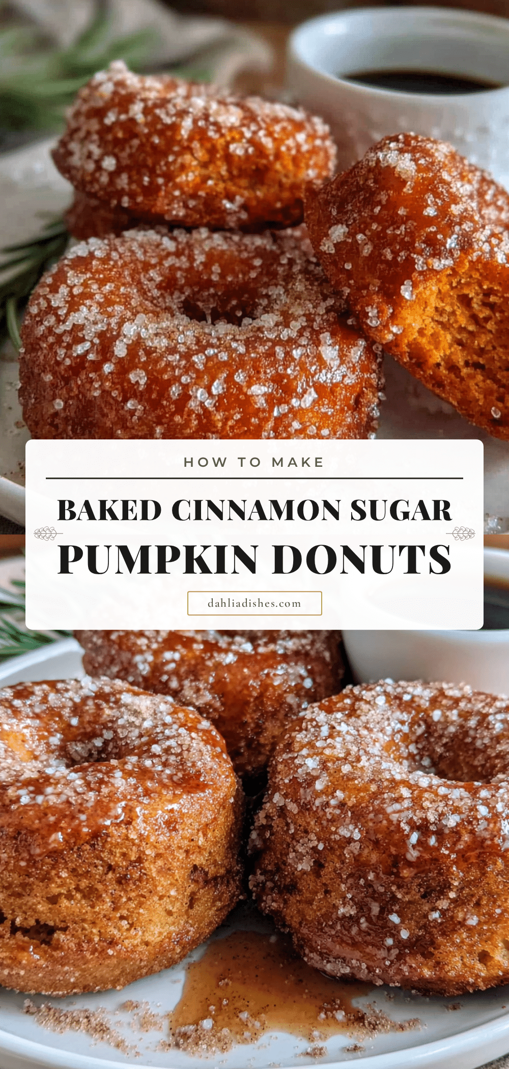 baked pumpkin donuts with cinnamon sugar recipe