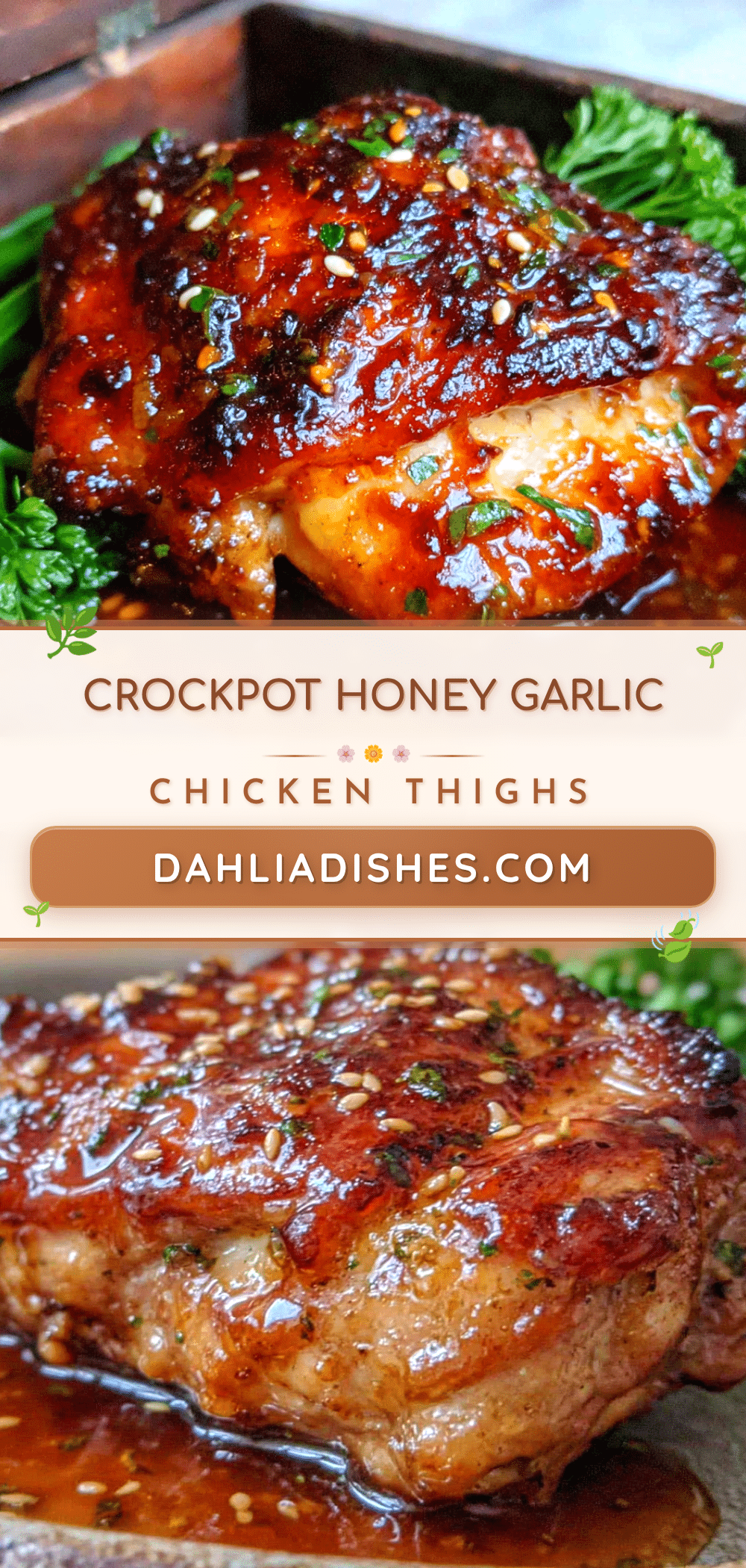 crockpot honey garlic chicken thighs recipe