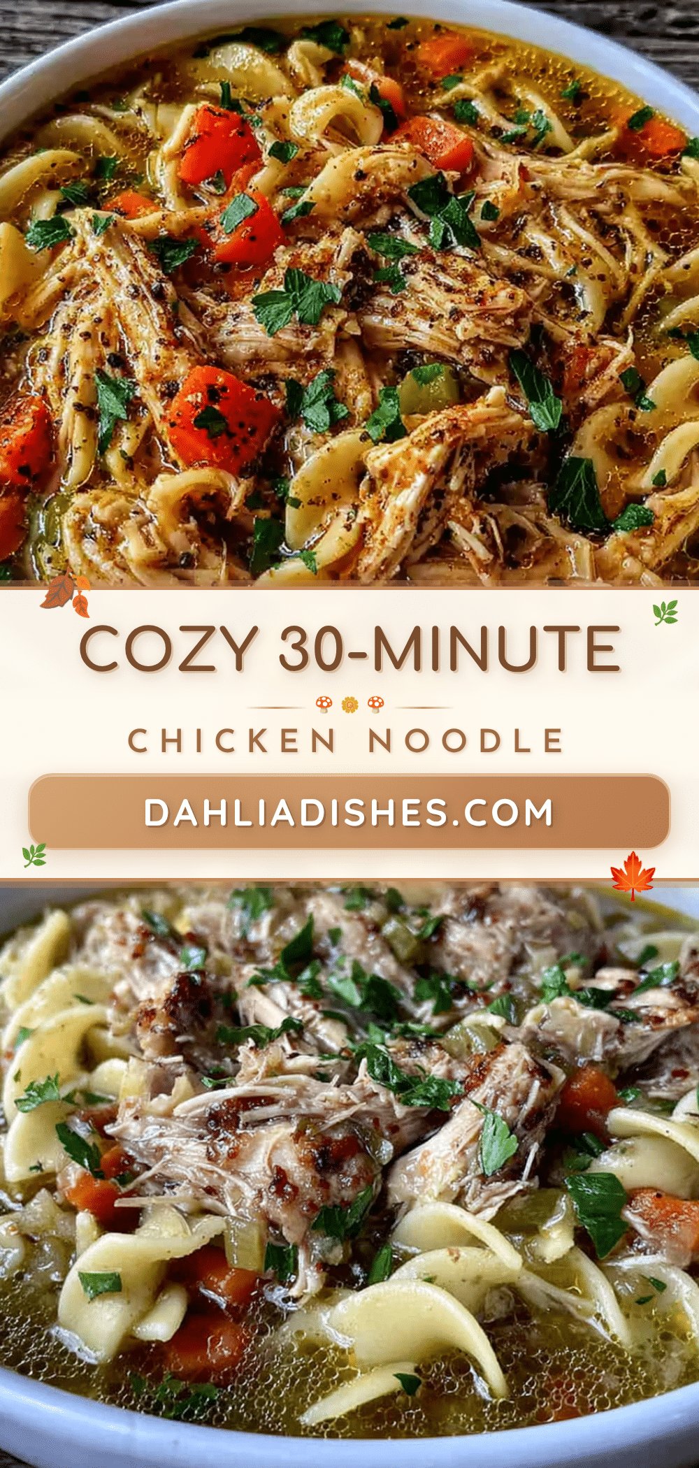 cozy 30-minute chicken noodle soup recipe