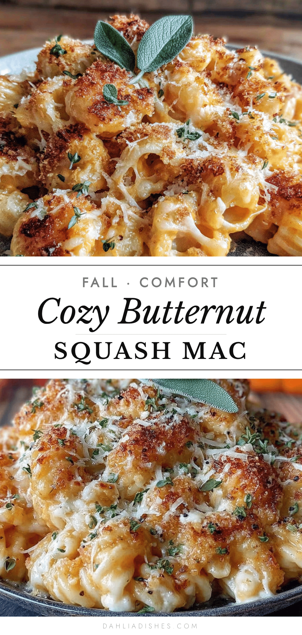 cozy butternut squash mac and cheese recipe