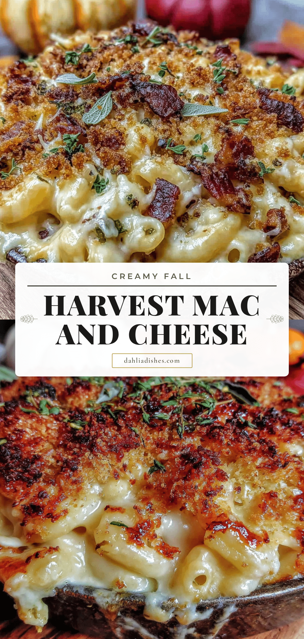 creamy fall harvest mac and cheese with bacon recipe