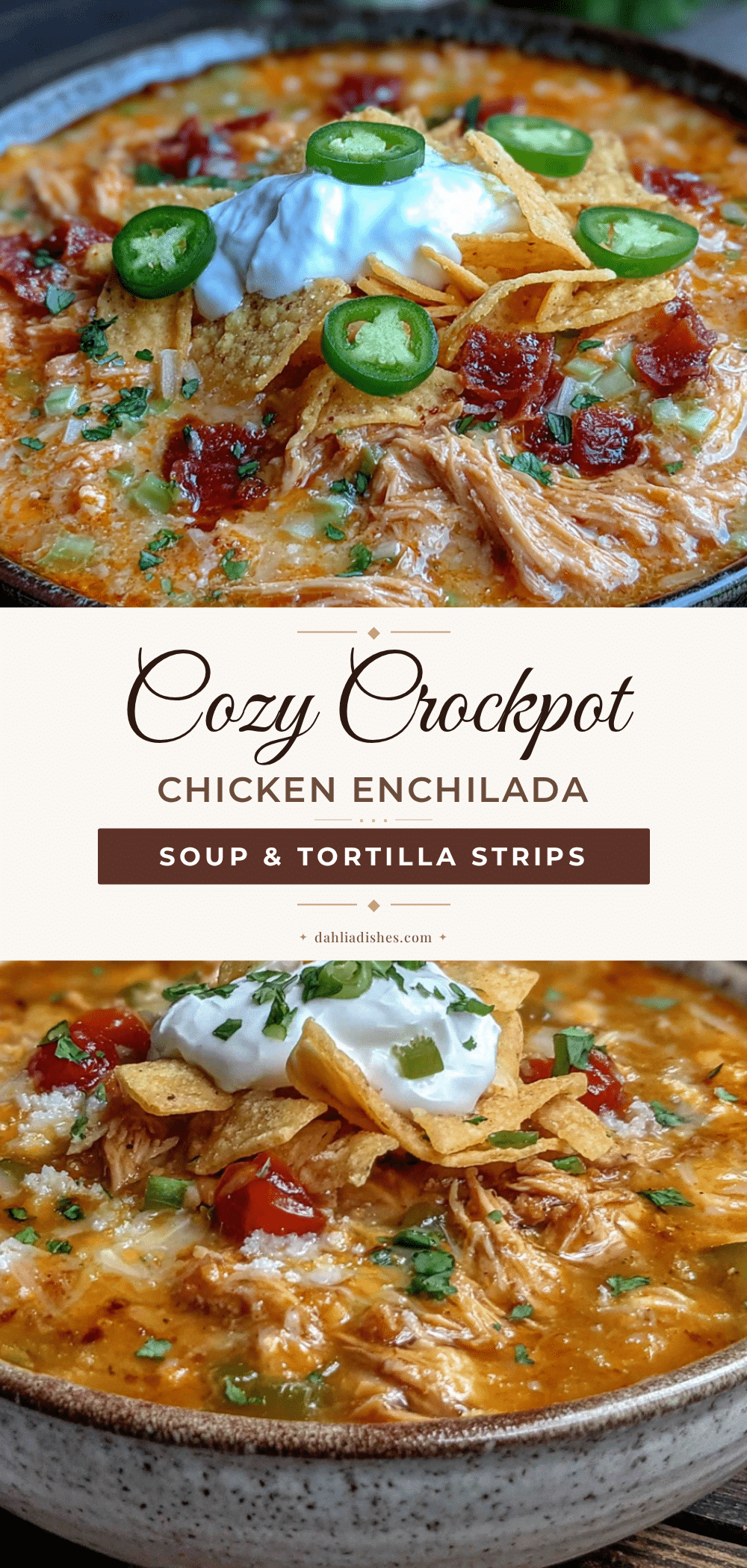 Crockpot Chicken Enchilada Soup recipe