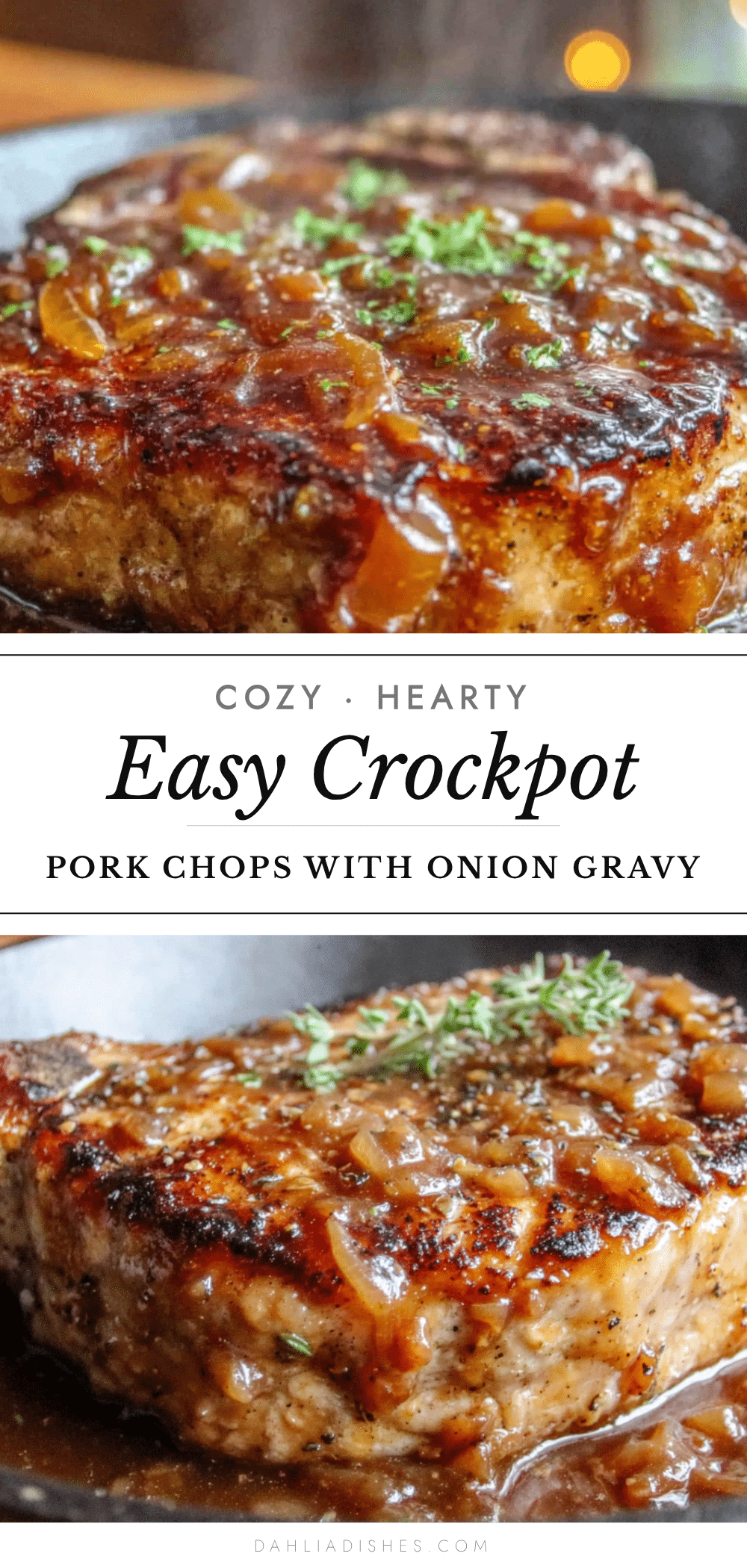crockpot pork chops with onion gravy recipe