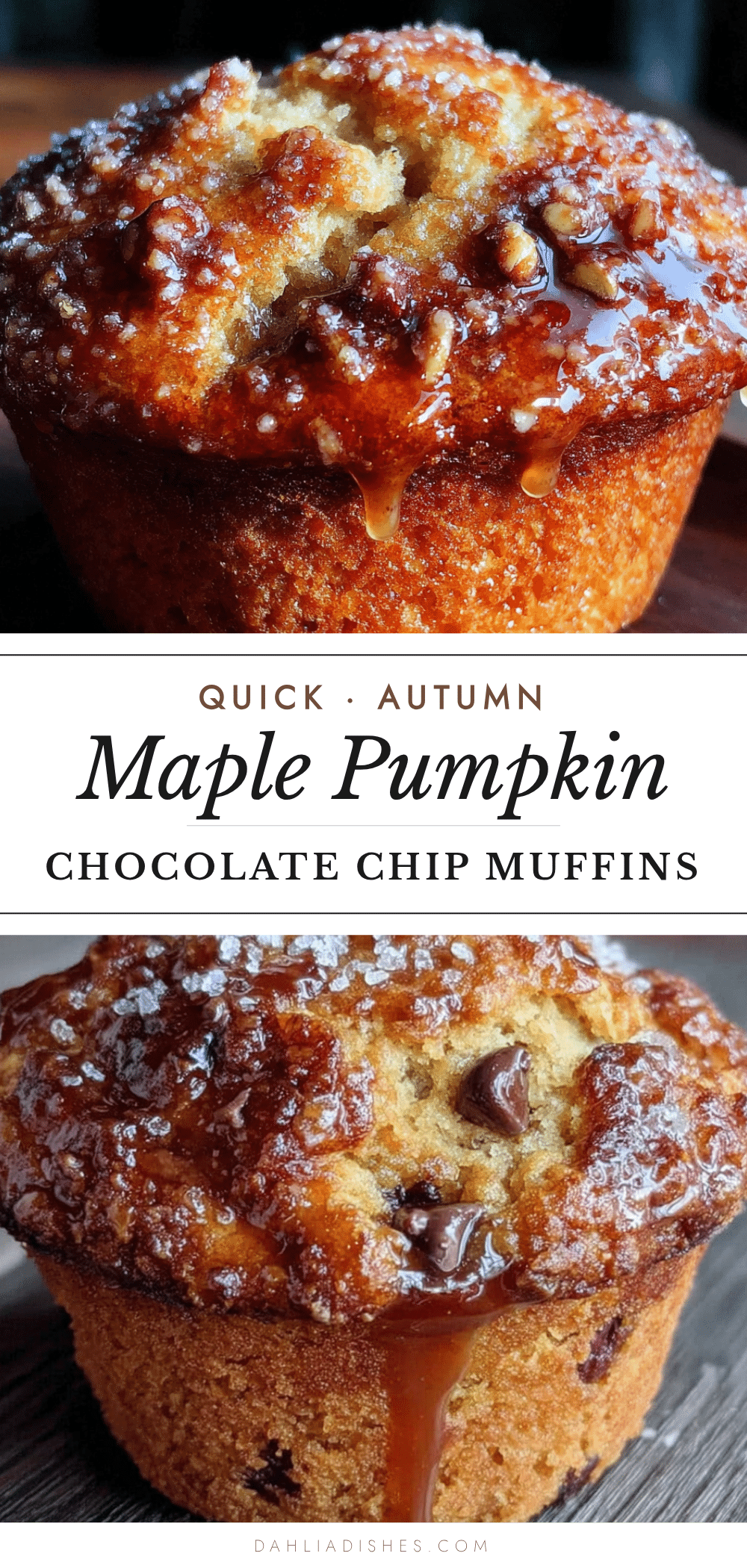maple pumpkin chocolate chip muffins recipe
