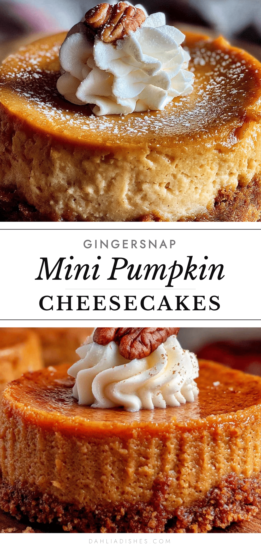 mini pumpkin cheesecakes recipe