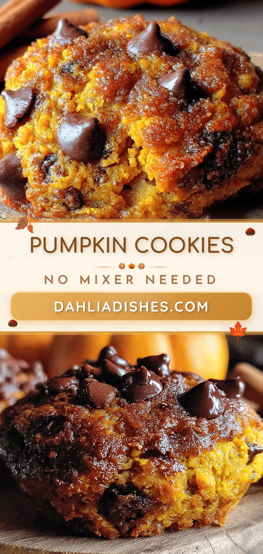 pumpkin chocolate chip cookies recipe