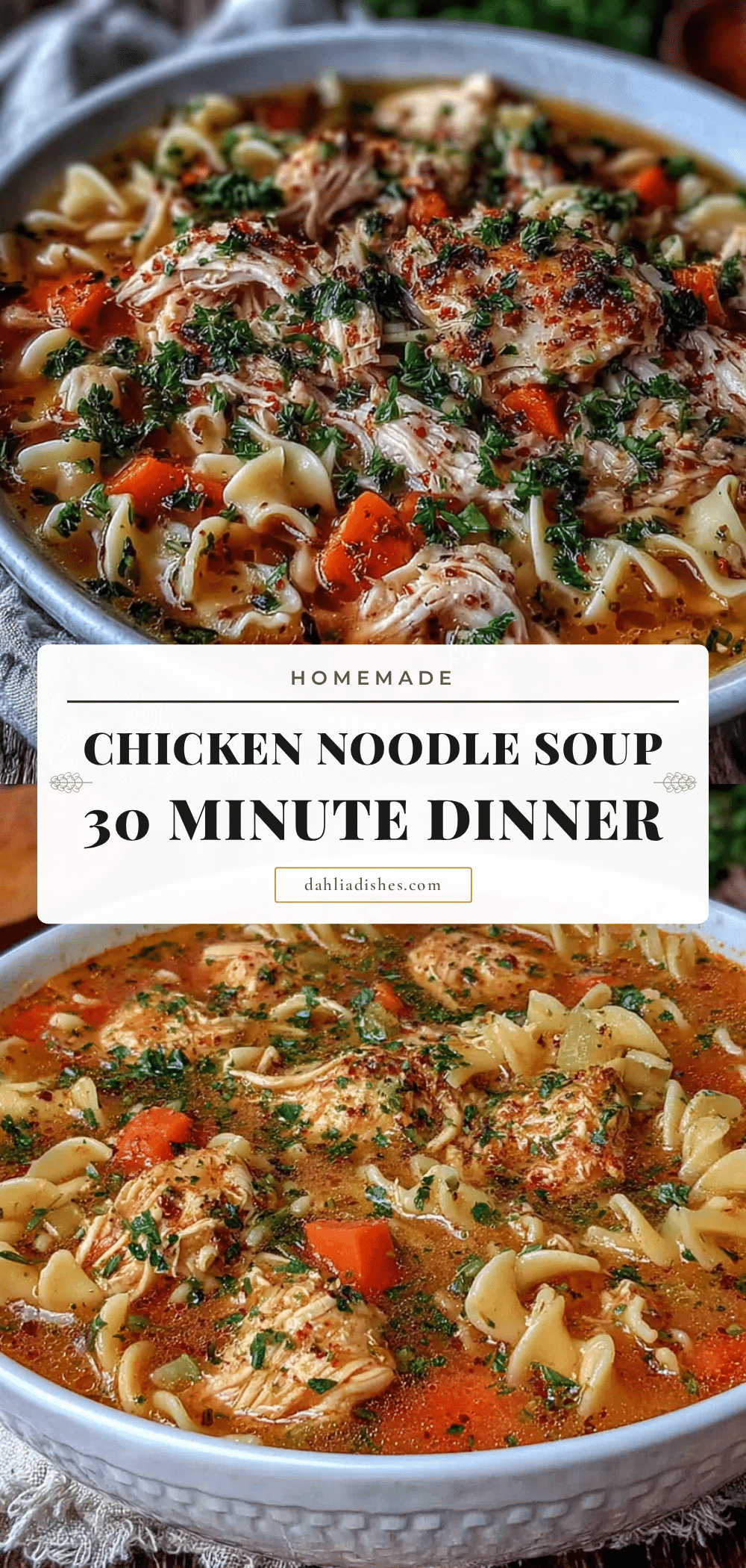 30-minute chicken noodle soup recipe